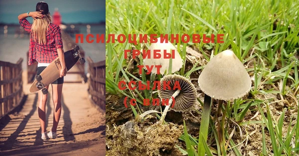 синтетический гашиш Нефтегорск
