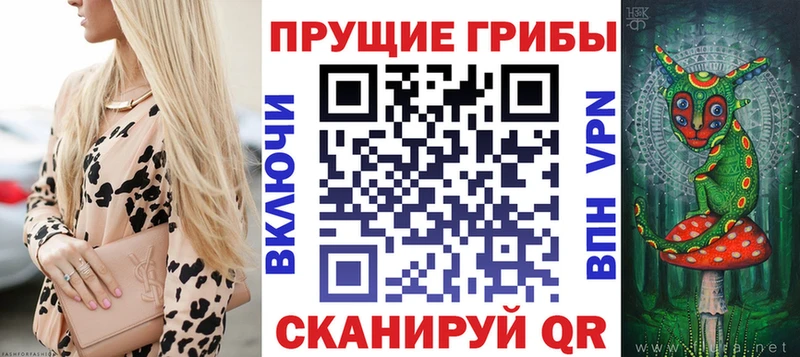 OMG рабочий сайт  Братск  Галлюциногенные грибы Psilocybe 